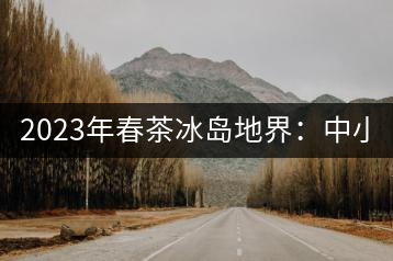2023年春茶冰島地界：中小樹1300-1500元／公斤，古樹2200~2500元／公斤