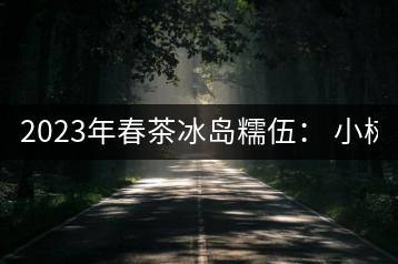 2023年春茶冰島糯伍： 小樹1300元／公斤，古樹：2100~2300元／公斤
