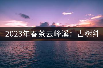 2023年春茶云峰溪：古樹(shù)純料：1200-1500元／公斤，古樹(shù)混采800-1000元／公斤，大樹(shù)500-800元／公斤，小樹(shù)300-500元／公斤