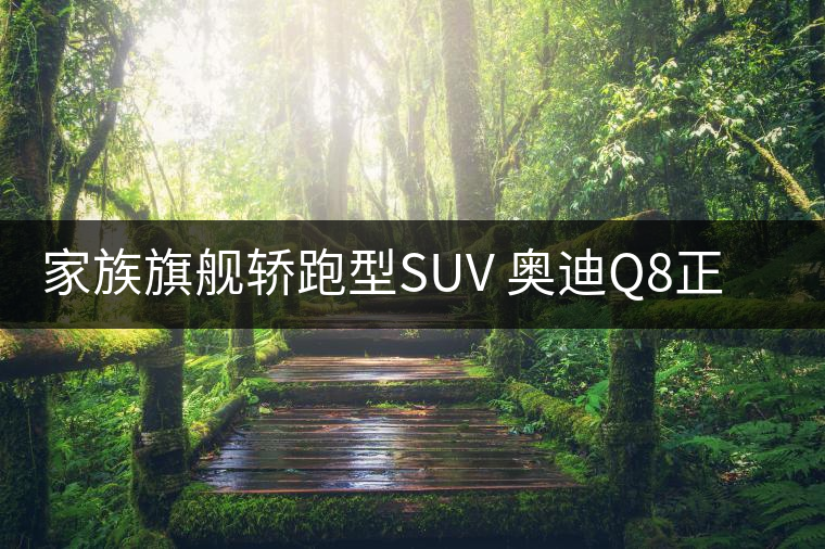 家族旗艦轎跑型SUV 奧迪Q8正式發(fā)布 家族旗艦轎跑型SUV 奧迪Q8正式發(fā)布