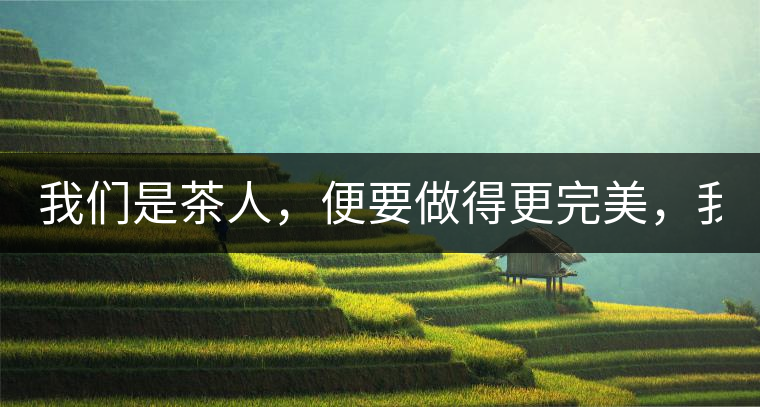 我們是茶人，便要做得更完美，我們是茶客，便要懂得沉默...我們是茶人，便要做得更完美，我們是茶客，便要懂得沉默！
