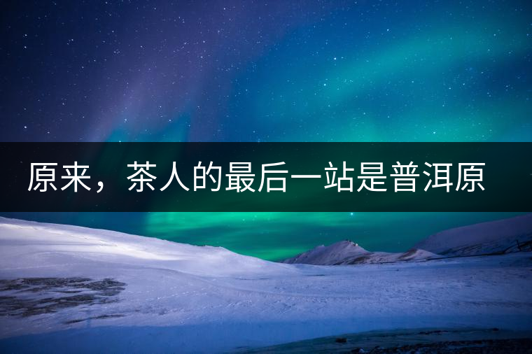 原來，茶人的最后一站是普洱原來，茶人的最后一站是普洱