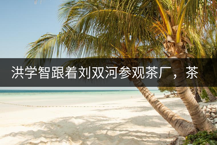 洪學(xué)智跟著劉雙河參觀茶廠，茶廠黃老板對賣苦力的百姓百般欺凌