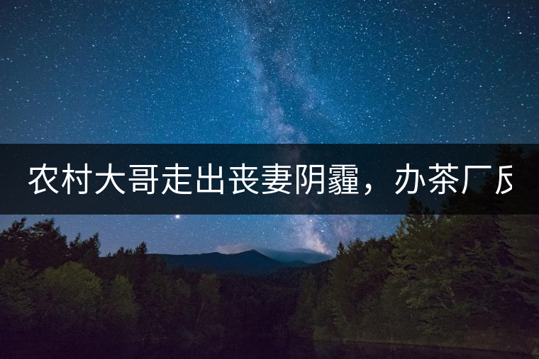 農(nóng)村大哥走出喪妻陰霾，辦茶廠反哺鄉(xiāng)鄰，每天處理鮮葉4000斤