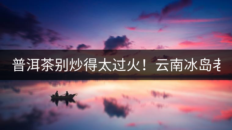 普洱茶別炒得太過火！云南冰島老寨“茶王樹”采摘權88萬成交？
