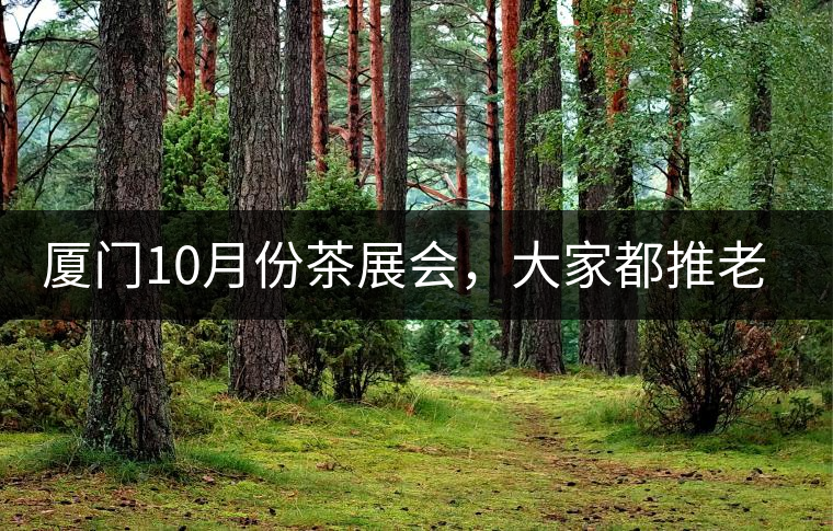 廈門(mén)10月份茶展會(huì)，大家都推老茶跟各種高端手工茶器