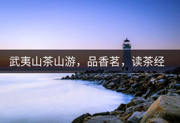 武夷山茶山游，品香茗，讀茶經(jīng)，賞茶景，學茶歷史!武夷山茶山游，品香茗，讀茶經(jīng)，賞茶景，學茶歷史！