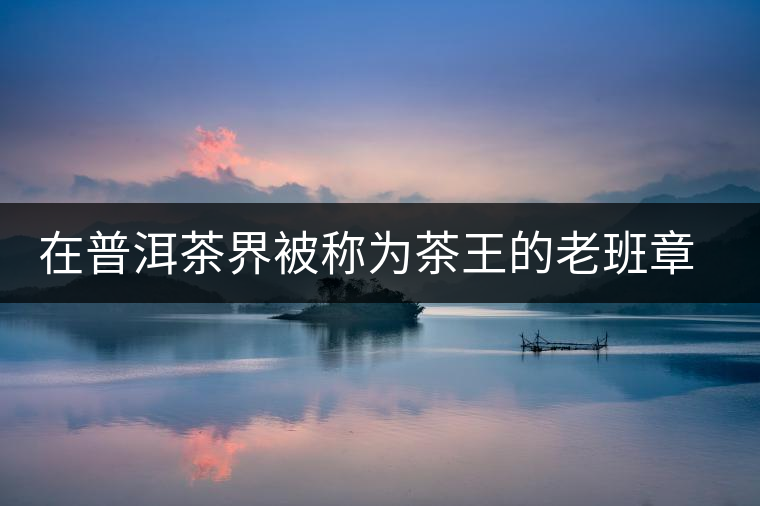 在普洱茶界被稱為茶王的老班章，為何有人愛(ài)有人恨？