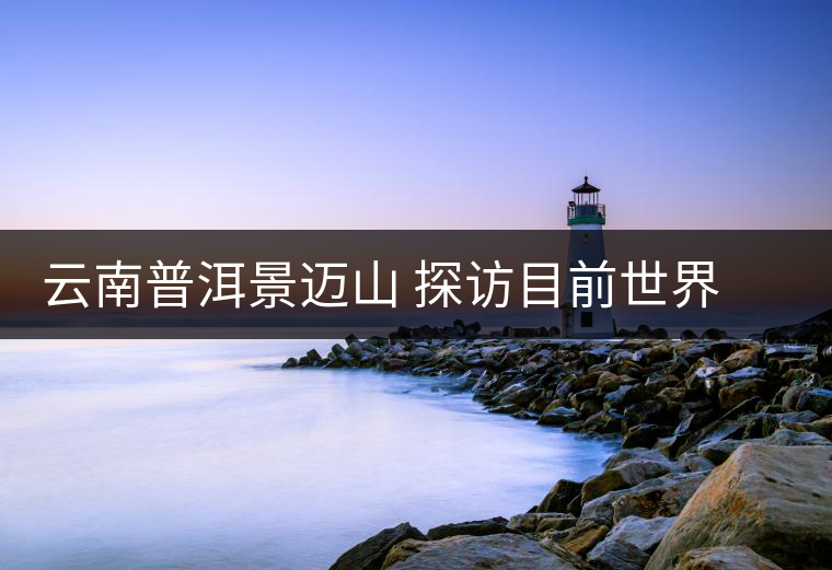 云南普洱景邁山 探訪目前世界上面積最大、年代最久遠(yuǎn)的古茶園