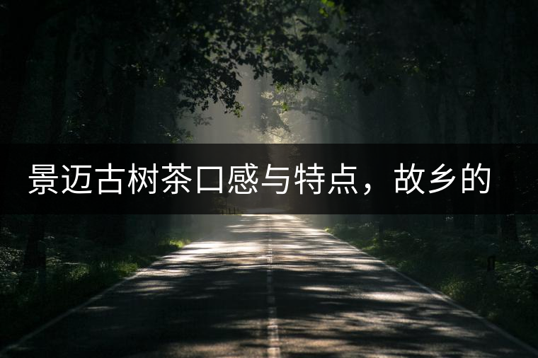 景邁古樹茶口感與特點，故鄉(xiāng)的普洱茶