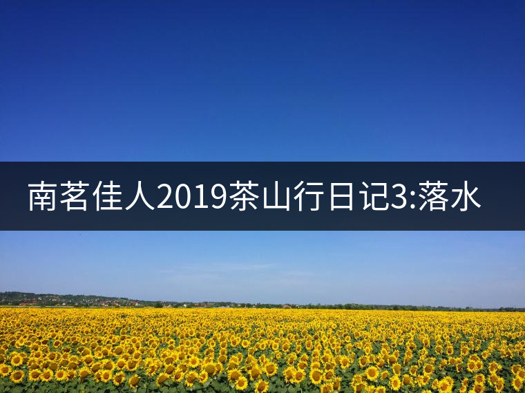 南茗佳人2019茶山行日記3:落水洞--200多年建村歷史，...南茗佳人2019茶山行日記3：落水洞——200多年建村歷史，靈動(dòng)清越