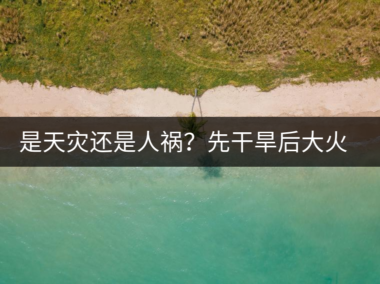 是天災還是人禍？先干旱后大火，普洱茶將何去何從？