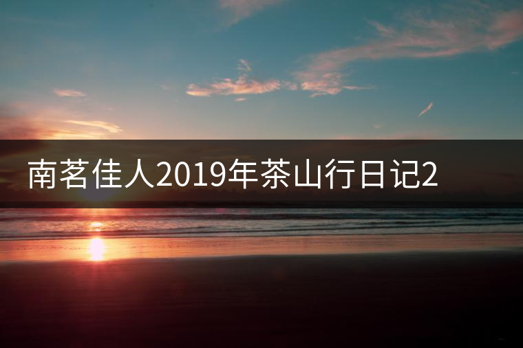 南茗佳人2019年茶山行日記2：彎弓——國有林深處的茶香飄揚(yáng)