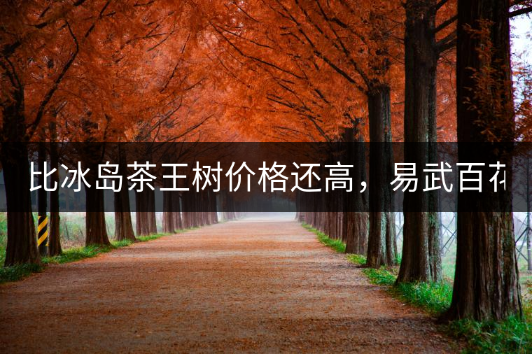 比冰島茶王樹價(jià)格還高，易武百花潭高桿古樹茶以100萬成...比冰島茶王樹價(jià)格還高，易武百花潭高桿古樹茶以100萬成交