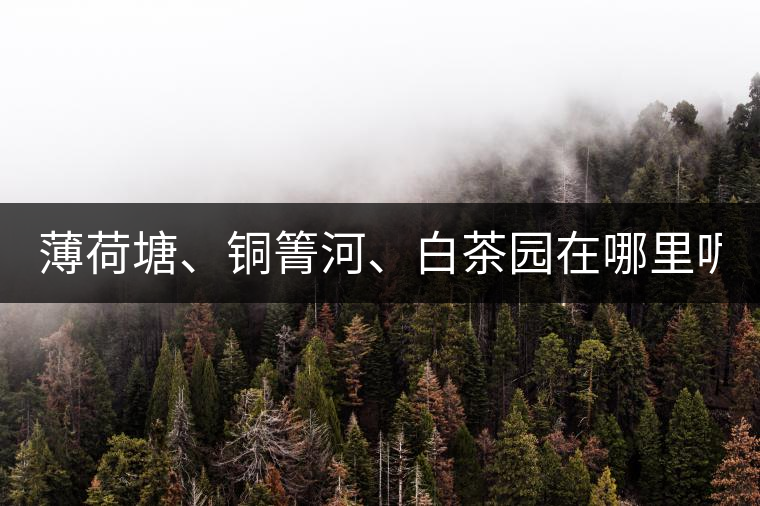 薄荷塘、銅箐河、白茶園在哪里呢?薄荷塘、銅箐河、白茶園在哪里呢？