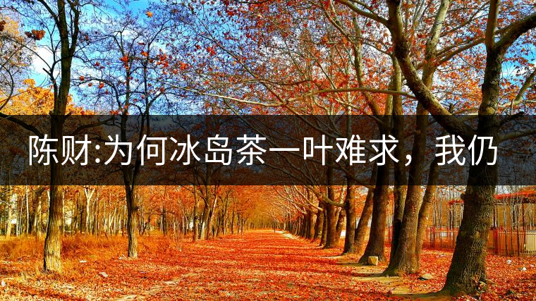 陳財:為何冰島茶一葉難求，我仍然堅持