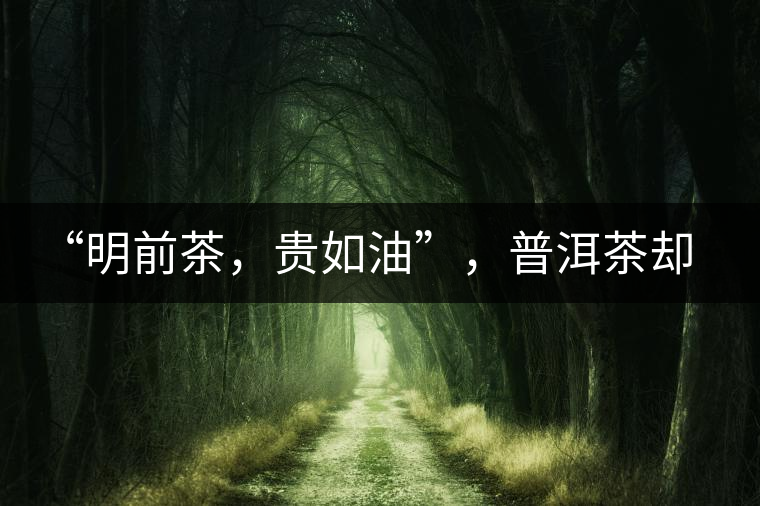 “明前茶，貴如油”，普洱茶卻不這么認為“明前茶，貴如油”，普洱茶卻不這么認為