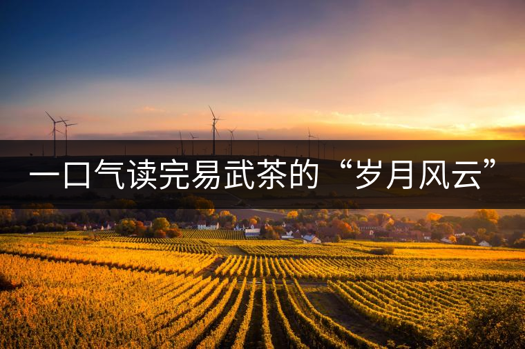 一口氣讀完易武茶的“歲月風(fēng)云”