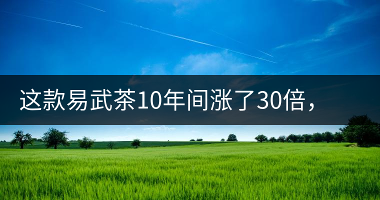這款易武茶10年間漲了30倍，但已芳蹤罕見
