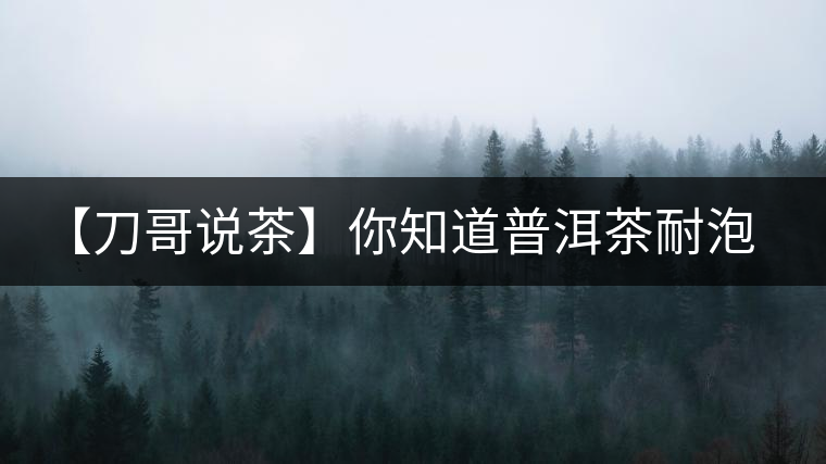 【刀哥說茶】你知道普洱茶耐泡，那你知道哪一類普洱茶比較耐泡？