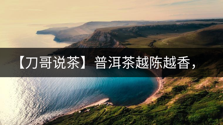 【刀哥說茶】普洱茶越陳越香，為什么新茶更受歡迎？