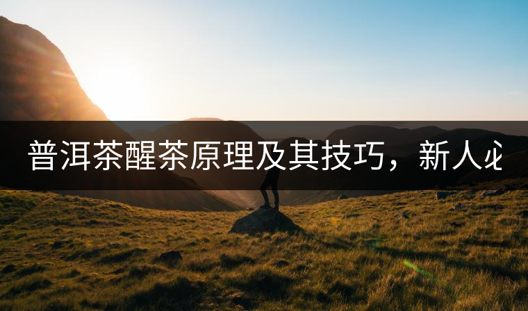 普洱茶醒茶原理及其技巧，新人必備！