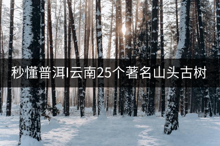 秒懂普洱I云南25個著名山頭古樹普洱茶的特點(diǎn)及口感!(太全了,快收藏!)