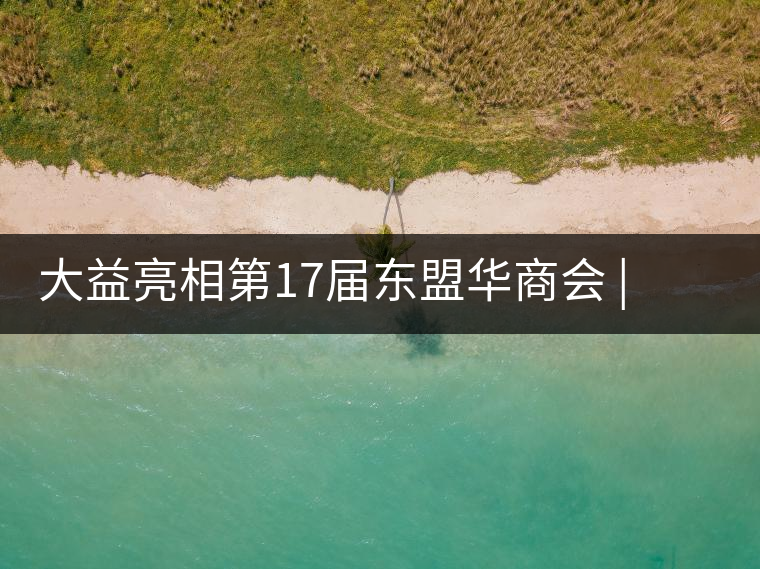 大益亮相第17屆東盟華商會 | 海內(nèi)外嘉賓共謀發(fā)展，共品大益茶