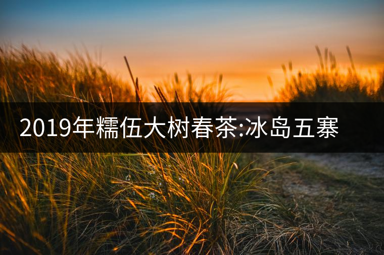 2019年糯伍大樹春茶:冰島五寨甜柔口感的代表，售價不...2019年糯伍大樹春茶：冰島五寨甜柔口感的代表，售價不到500