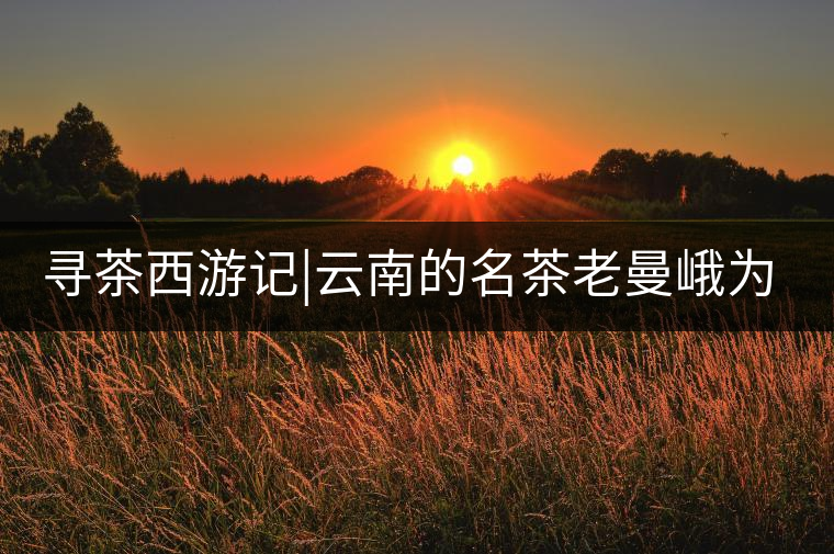 尋茶西游記|云南的名茶老曼峨為什么這么多人愛，這里...尋茶西游記｜云南的名茶老曼峨為什么這么多人愛，這里給你答案！