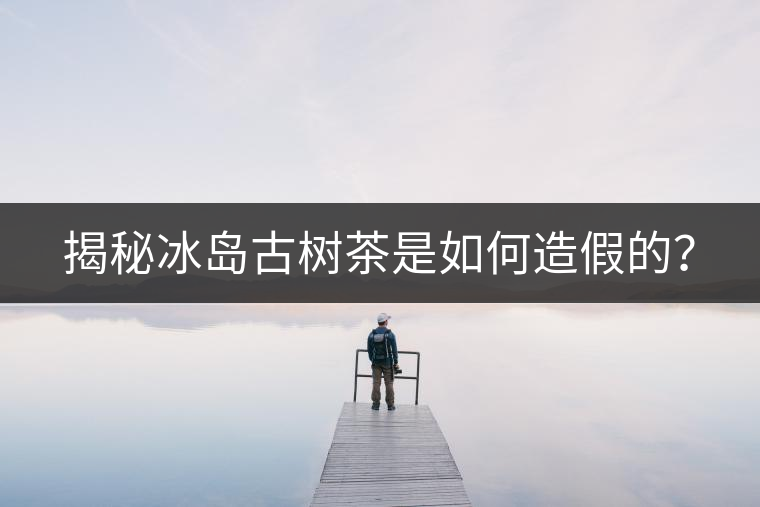 揭秘冰島古樹(shù)茶是如何造假的？