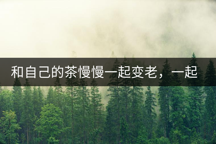 和自己的茶慢慢一起變老，一起變好