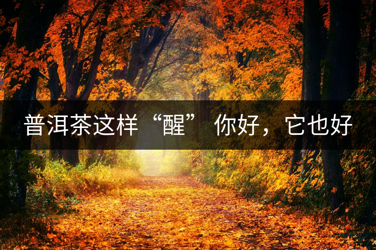 普洱茶這樣“醒” 你好，它也好