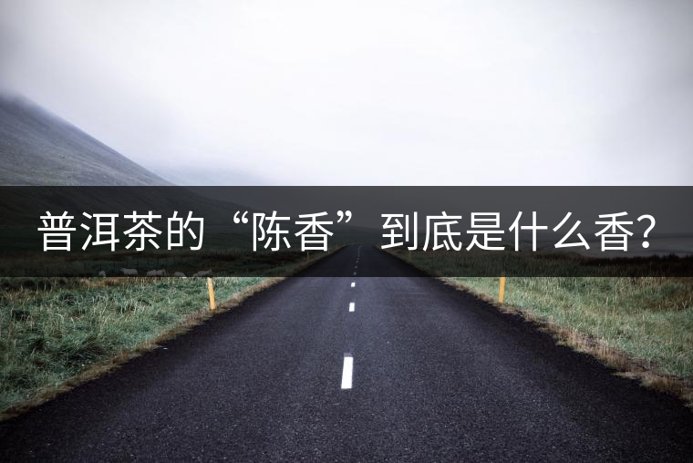 普洱茶的“陳香”到底是什么香？