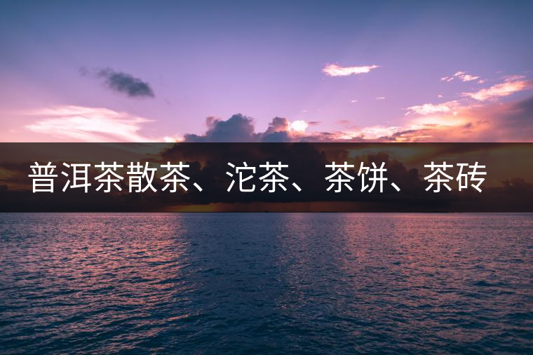 普洱茶散茶、沱茶、茶餅、茶磚哪種更好？