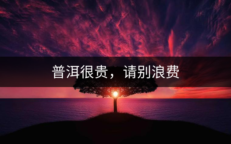 普洱很貴，請別浪費(fèi)
