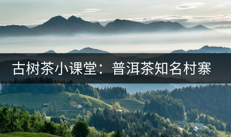 古樹茶小課堂：普洱茶知名村寨的生態(tài)環(huán)境如何？