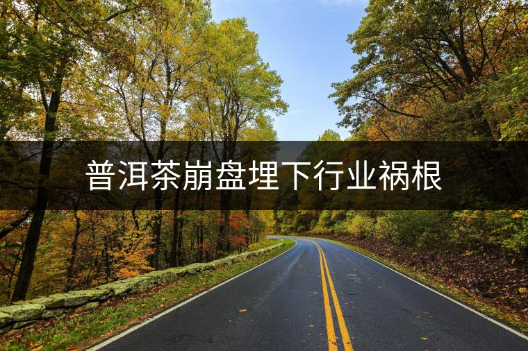 普洱茶崩盤埋下行業(yè)禍根 普洱茶崩盤埋下行業(yè)禍根