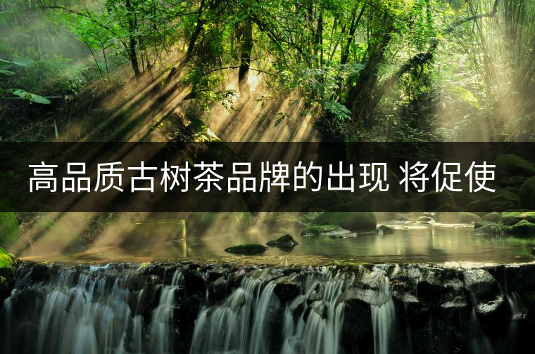 高品質古樹茶品牌的出現(xiàn) 將促使行業(yè)越來越規(guī)范