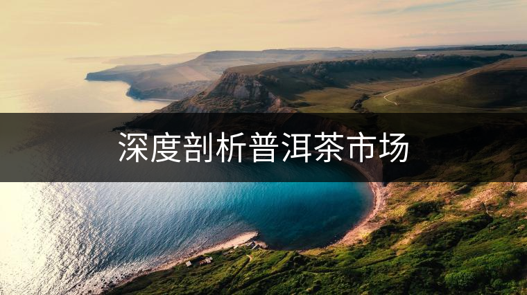 深度剖析普洱茶市場 深度剖析普洱茶市場