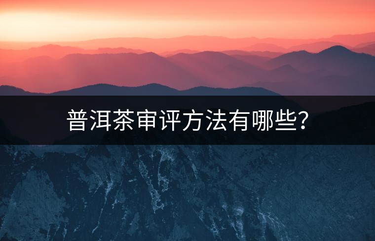 普洱茶審評方法有哪些？