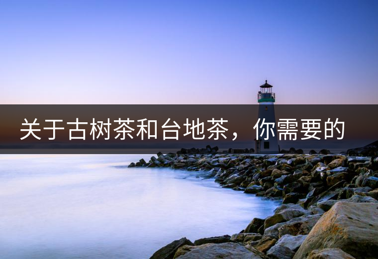 關(guān)于古樹茶和臺(tái)地茶，你需要的知識(shí)全在這里了