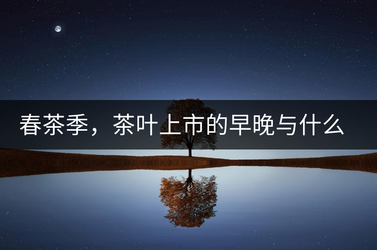 春茶季，茶葉上市的早晚與什么有關