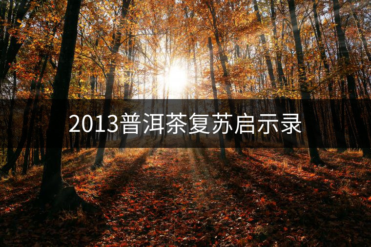 2013普洱茶復蘇啟示錄