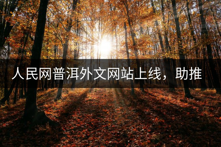 人民網(wǎng)普洱外文網(wǎng)站上線，助推普洱茶國際影響力