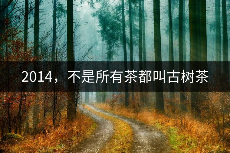 2014，不是所有茶都叫古樹(shù)茶