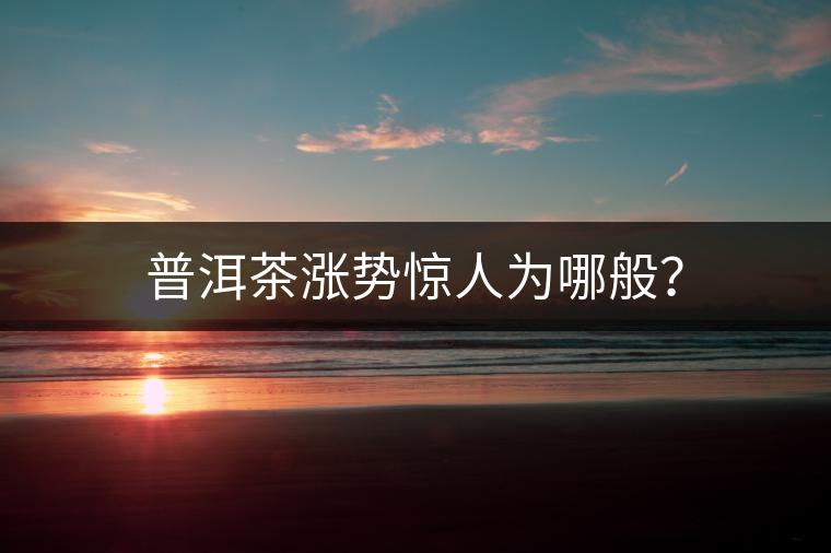 普洱茶漲勢(shì)驚人為哪般？