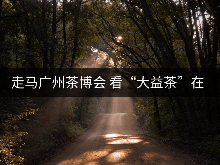 走馬廣州茶博會 看“大益茶”在傳承與創(chuàng)新中發(fā)展 走馬廣州茶博會 看“大益茶”在傳承與創(chuàng)新中發(fā)展
