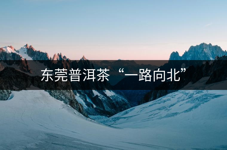 東莞普洱茶“一路向北” 東莞普洱茶“一路向北”