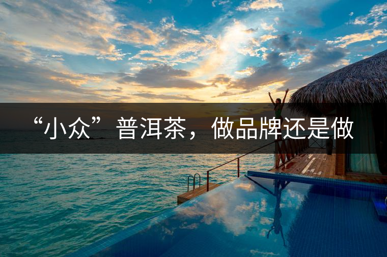 “小眾”普洱茶，做品牌還是做圈子？